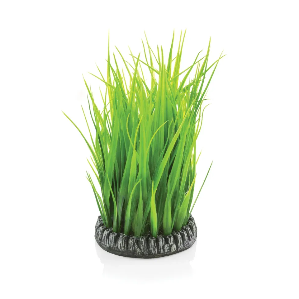 biOrb Grass Ring akvariedekoration grön medium plast