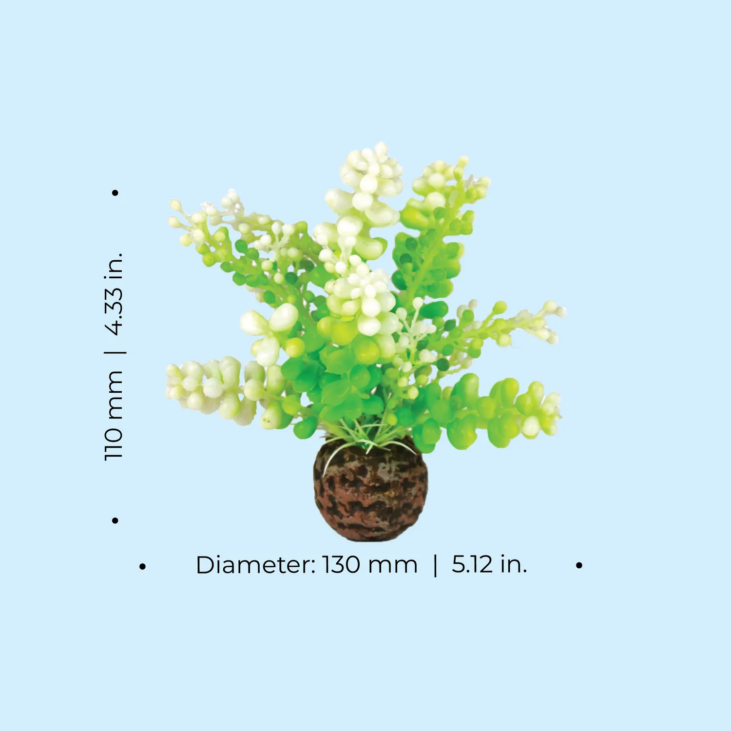 biOrb Caulerpa Green akvarieväxt grön 13 cm