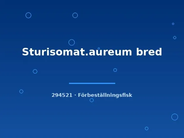 Näsets Sturisoma aureum pansarmal bred 4–6 cm