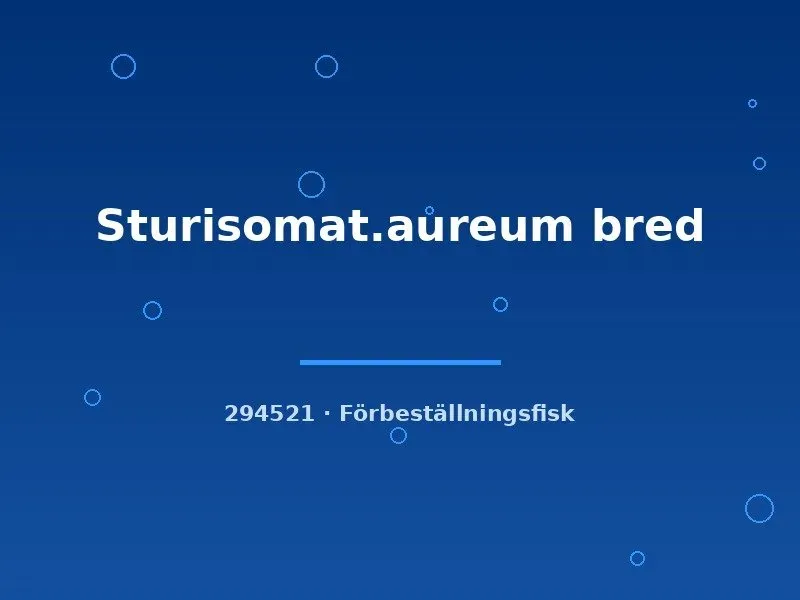 Näsets Sturisoma aureum pansarmal bred 4–6 cm