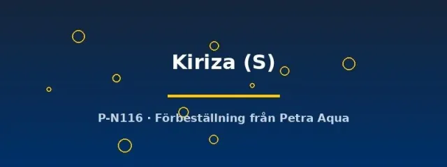 Näsets Ciklidhobby Cyprichromis microlepidotus Kiriza S ciklid tanganyika