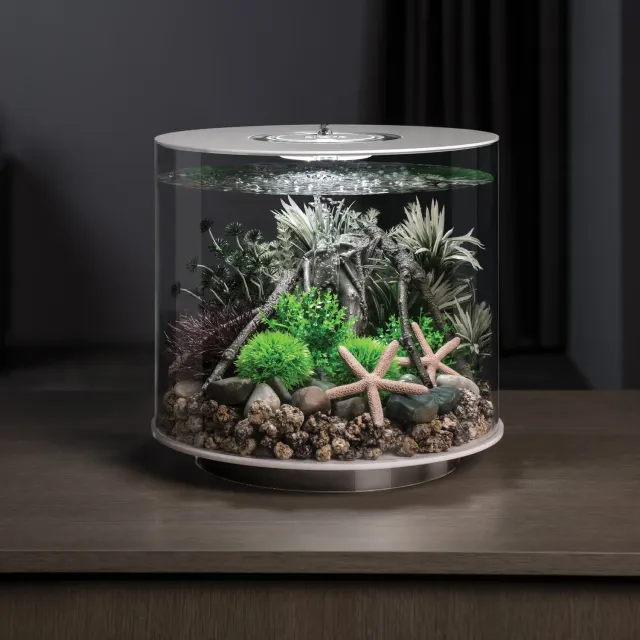 biOrb TUBE 15 akvarium Amazonian Adventure 15 liter