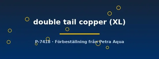 Näsets Ciklidhobby Betta Double Tail Copper kampfisk XL