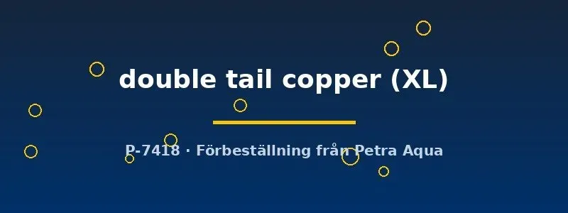 Näsets Ciklidhobby Betta Double Tail Copper kampfisk XL