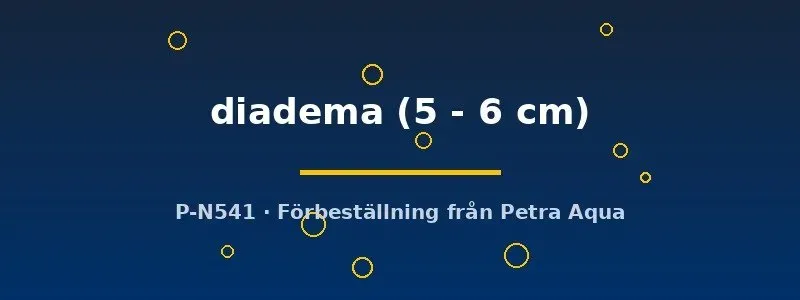 Aequidens diadema ciklid 5–6 cm