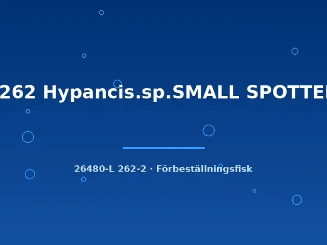 Näsets Ciklidhobby L262 Hypancistrus mal 6–8 cm small spotted