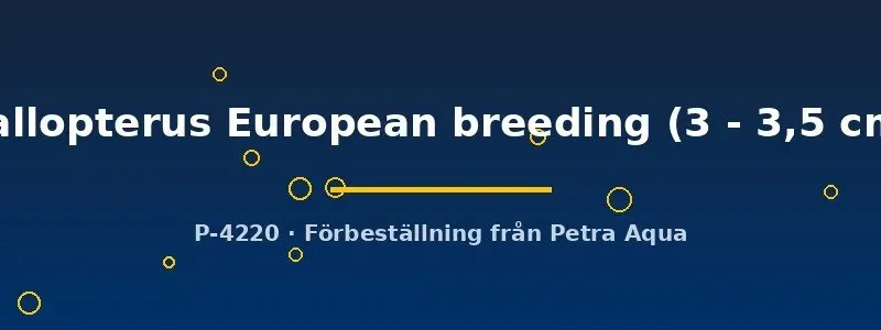 Näsets Ciklidhobby kallopterus akvariefisk 3–3,5 cm europeisk odling