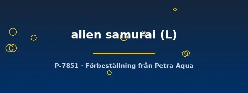 Näsets Betta alien samurai kampfisk hane L