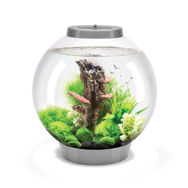 biOrb CLASSIC 30 akvarium Woodland Wonder 30 liter