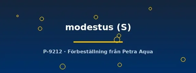 Näsets Ciklidhobby Auriglobus modestus kulfisk S artkar
