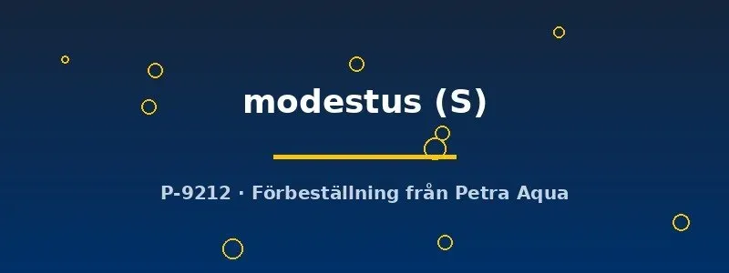 Näsets Ciklidhobby Auriglobus modestus kulfisk S artkar
