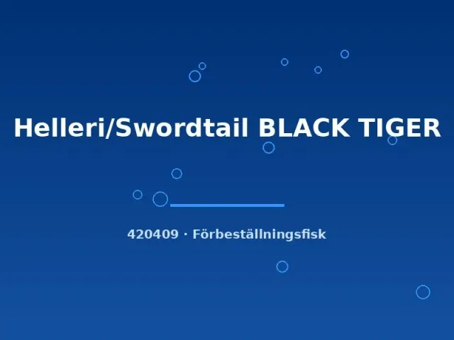 Näsets Ciklidhobby Black Tiger svärdbärare lg svart