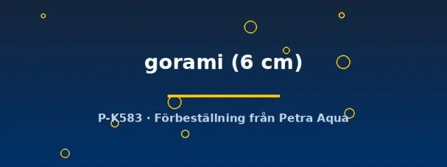 Osphronemus gorami akvariefisk 6 cm jättegurami