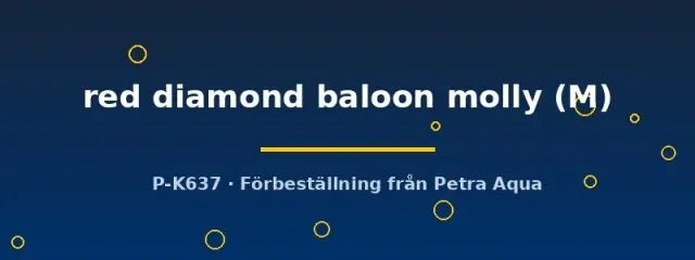 Näsets Poecilia latipinna Red Diamond Balloon molly M