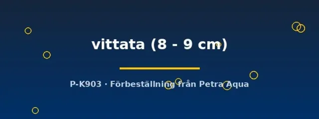 Peckoltia vittata L049 mal 8–9 cm mönstrad algätare