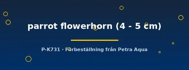 Hybrid Parrot Flowerhorn ciklid 4–5 cm storväxande