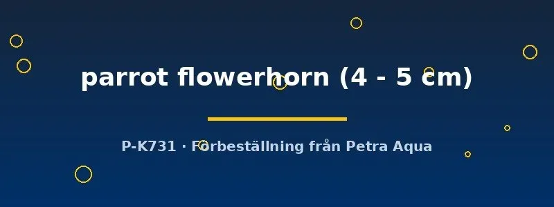 Hybrid Parrot Flowerhorn ciklid 4–5 cm storväxande
