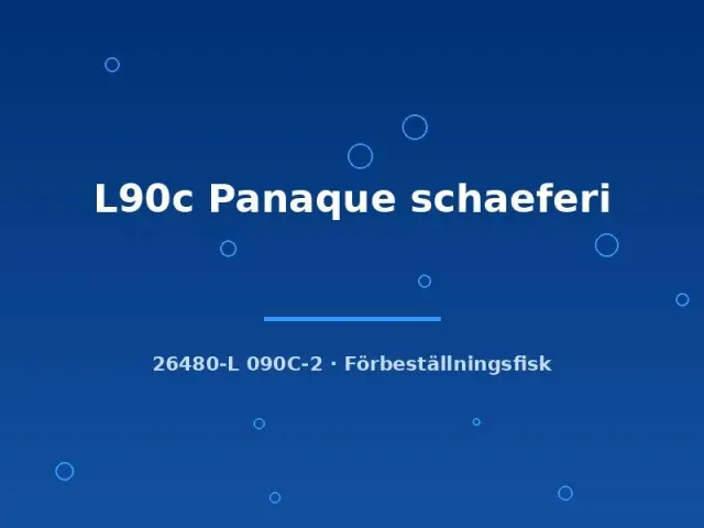 Näsets Ciklidhobby L90c Panaque schaeferi mal 5-7 cm