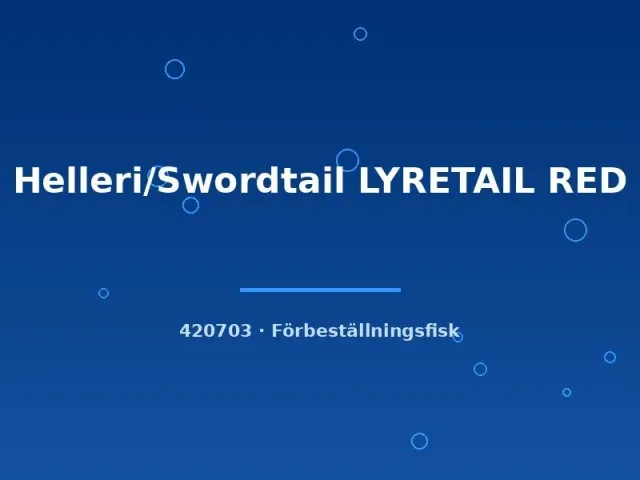 Näsets Ciklidhobby Lyretail Red md-lg svärdbärare