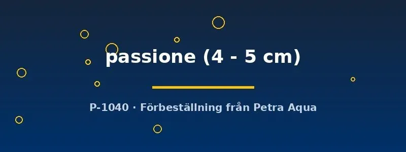 Näsets Pasion Thorichthys passione ciklid 4–5 cm parfisk