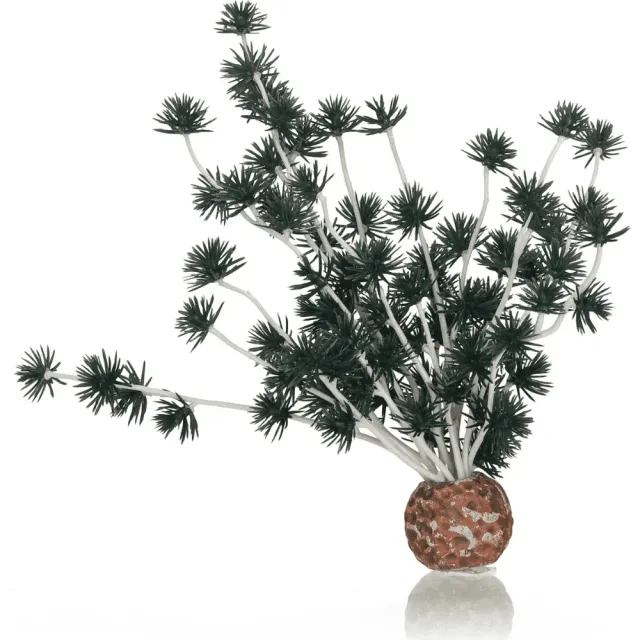 biOrb Bonsai boll akvariedekoration svart plastväxt