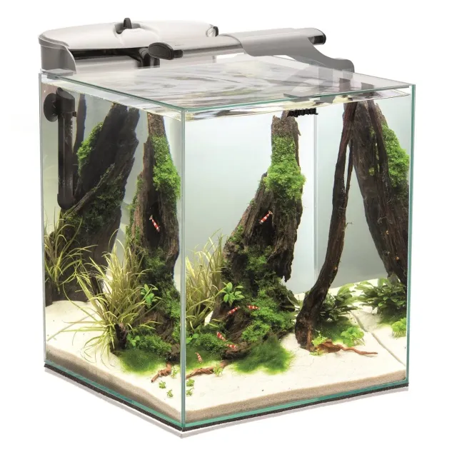 Näsets Ciklidhobby Fish Shrimp Duo 49L akvarium vit komplett