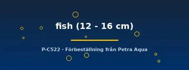 Näsets Ciklidhobby Bait fish 12–16 cm foderfisk rovfisk