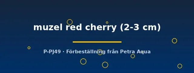 Näsets Ciklidhobby Muzel red cherry 2-3 cm tetra stim