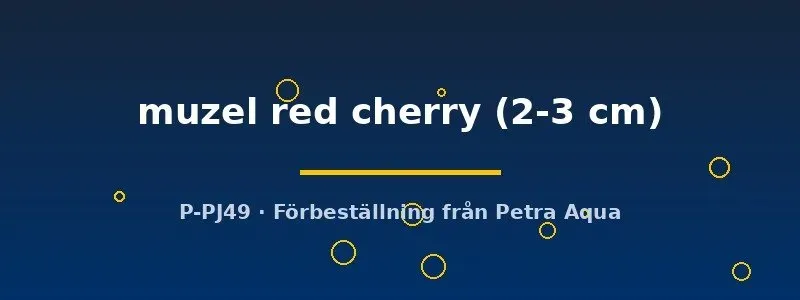 Näsets Ciklidhobby Muzel red cherry 2-3 cm tetra stim
