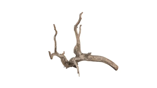 Garnelen TV Scaper Root akvarierot S 25-30 cm mörk