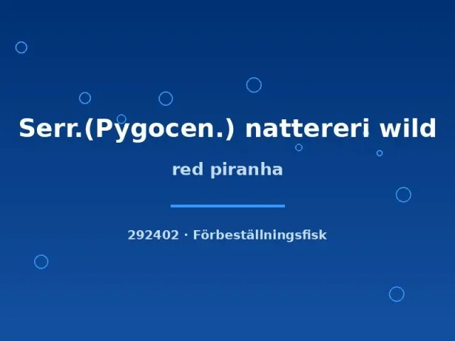 Näsets Ciklidhobby Red Piranha piraya 2–3 cm vild