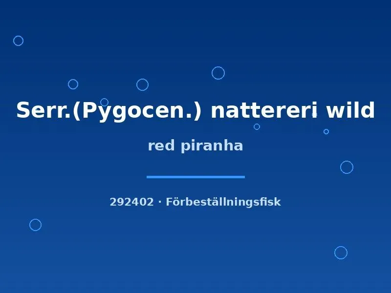 Näsets Ciklidhobby Red Piranha piraya 2–3 cm vild