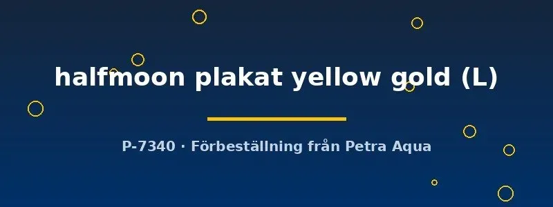 Näsets Ciklidhobby Betta halfmoon plakat hane L yellow gold
