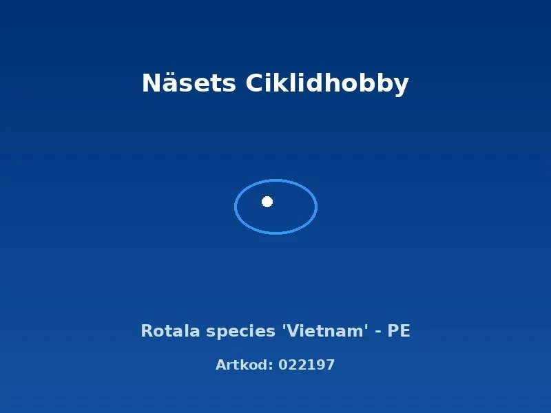 Näsets Ciklidhobby Rotala Vietnam PE akvarieväxt röd