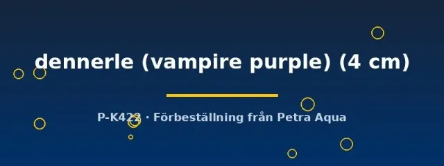 Geosesarma dennerle vampire purple krabba 4 cm lila
