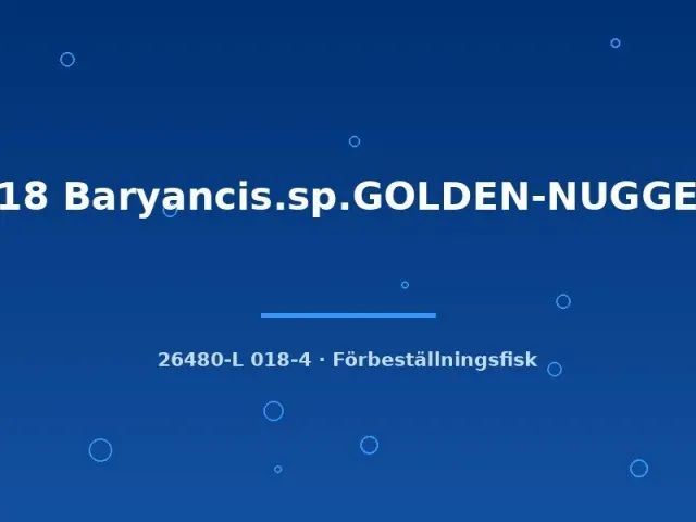 Näsets Ciklidhobby Baryancistrus Golden Nugget L18 mal 9–12 cm