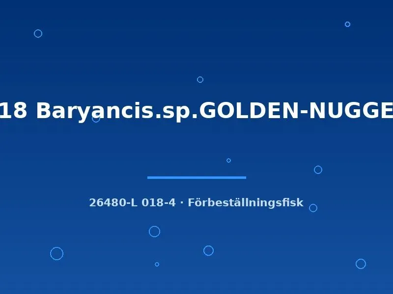 Näsets Ciklidhobby Baryancistrus Golden Nugget L18 mal 9–12 cm