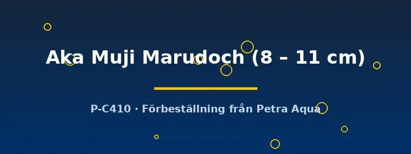Näsets Ciklidhobby Aka Muji Marudoch koi dammfisk 8–11 cm röd