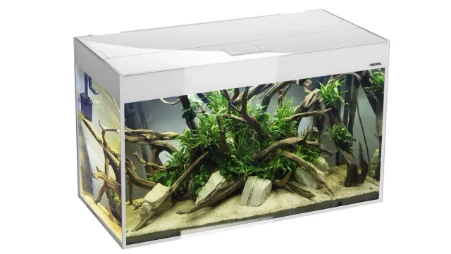 Näsets Ciklidhobby Glossy 472L akvarium vit 472 liter