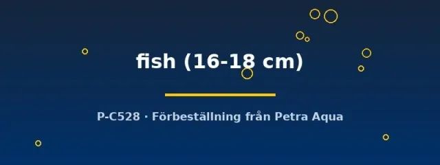 Näsets Ciklidhobby Bait Fish akvariefisk 16–18 cm stor