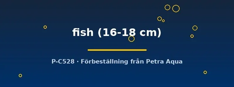 Näsets Ciklidhobby Bait Fish akvariefisk 16–18 cm stor