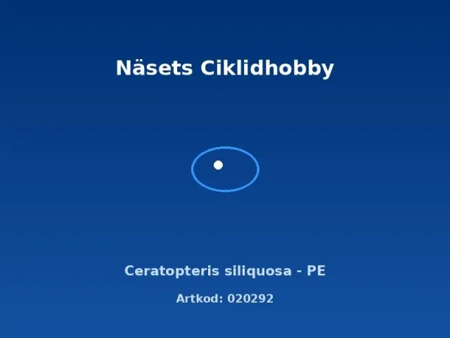 Näsets Ciklidhobby Ceratopteris siliquosa akvarieväxt PE
