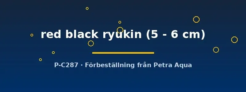 Näsets Ciklidhobby Ryukin guldfisk röd-svart 5–6 cm