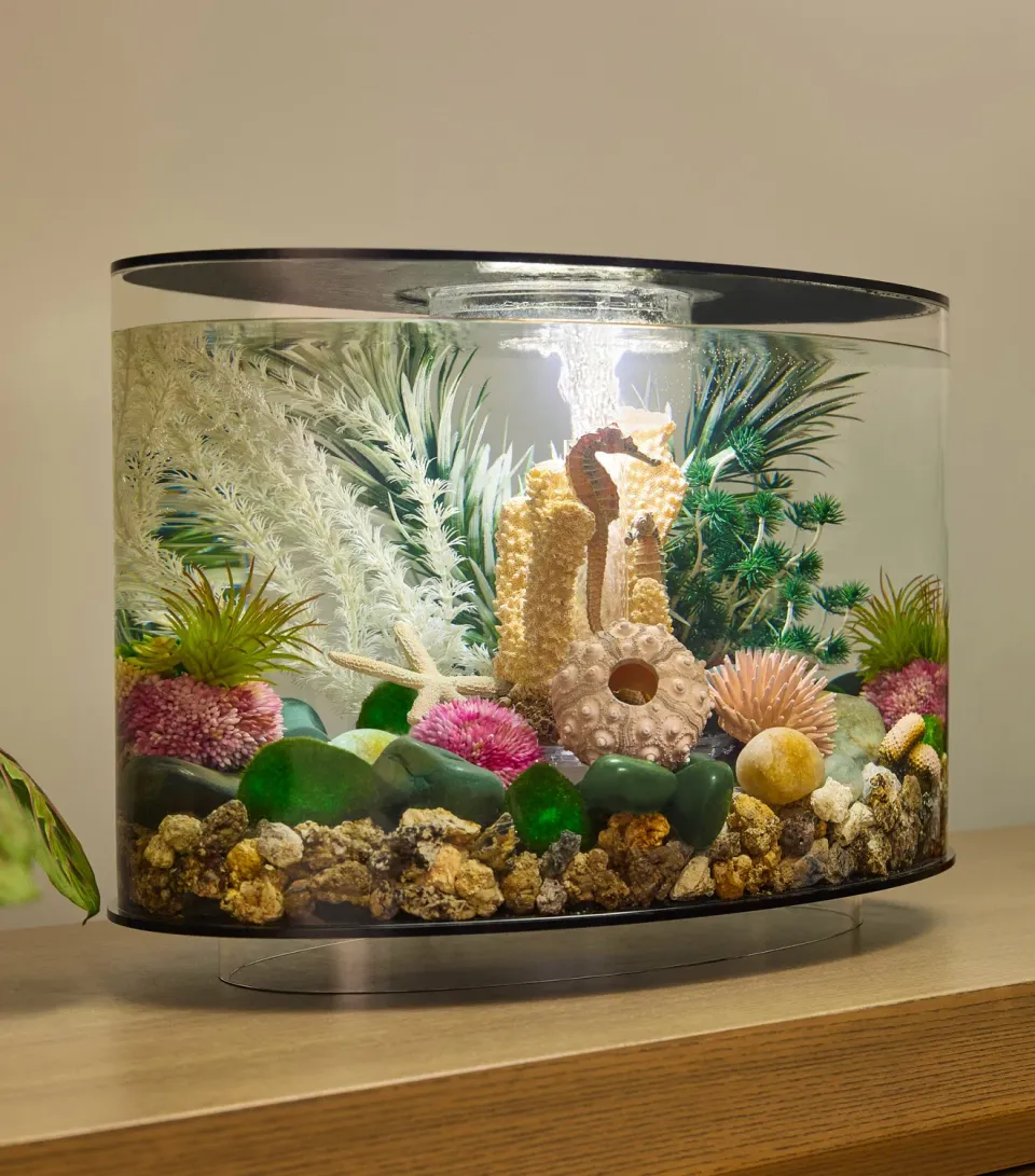 biOrb Loop 15 akvarium Coastal Drift 15 liter
