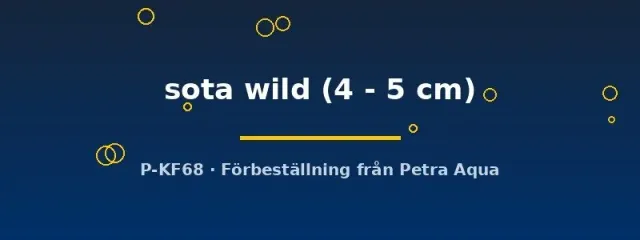 Näsets Ciklidhobby Colisa sota wild gurami 4–5 cm vildfärg