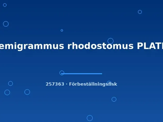 Näsets Ciklidhobby Hemigrammus rhodostomus PLATIN akvariefisk md-lg stim