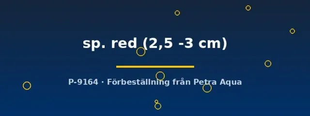 Näsets Red Coenobita eremitkrabba 2,5–3 cm landdjur