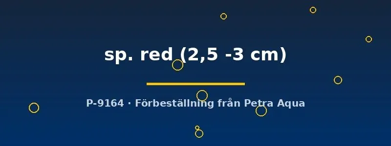 Näsets Red Coenobita eremitkrabba 2,5–3 cm landdjur