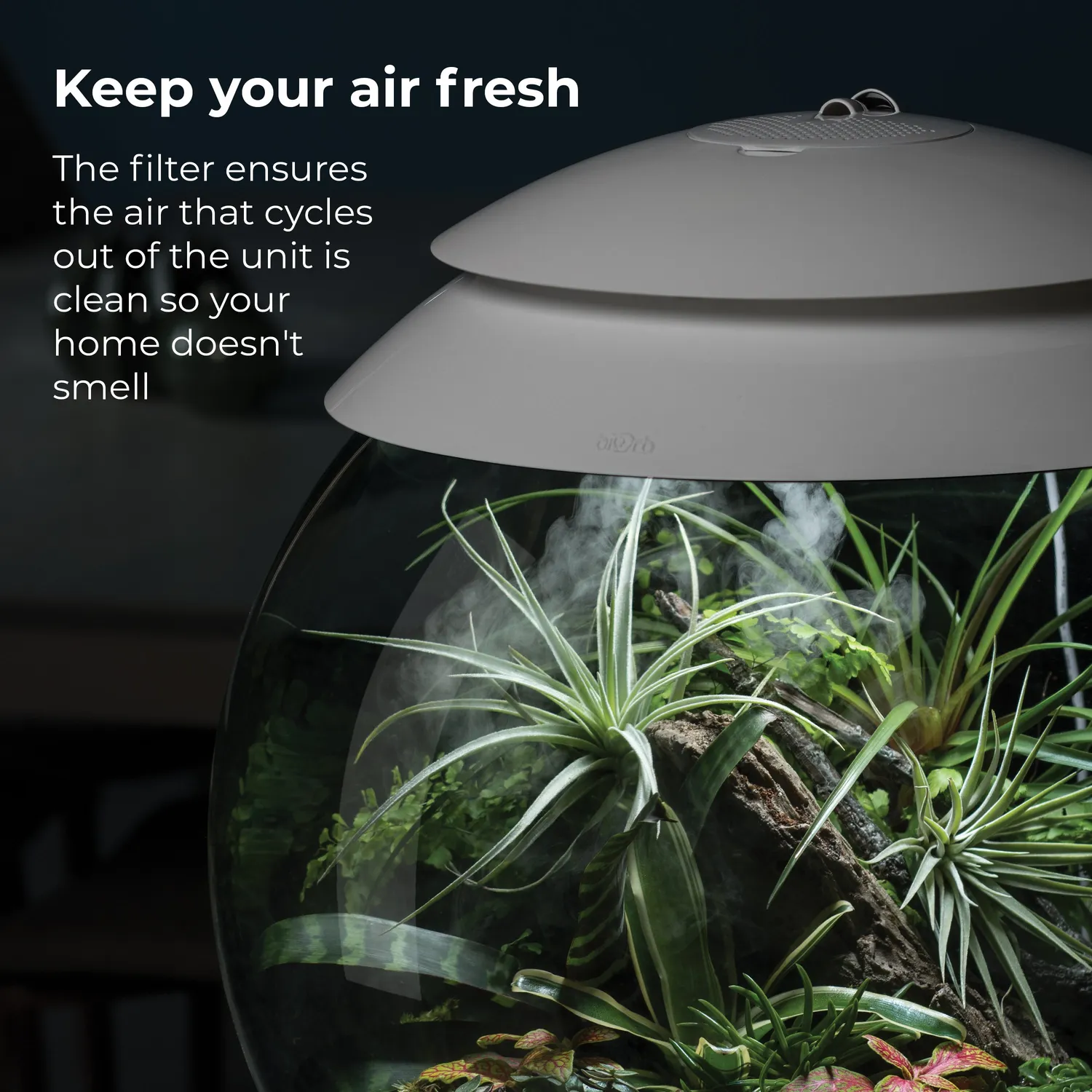 biOrb Air 30 filterpatron luftfilter terrarium