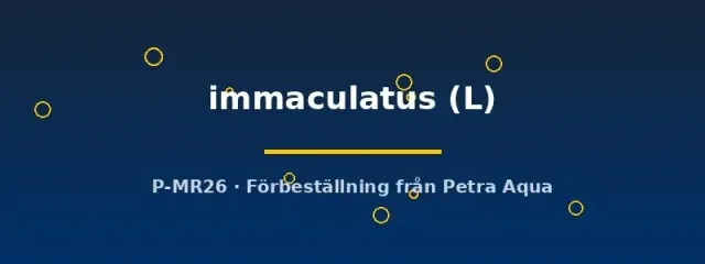 Näsets Ciklidhobby Arothron immaculatus saltvattensfisk L stor